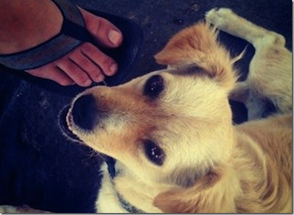 Instagram-primera-foto