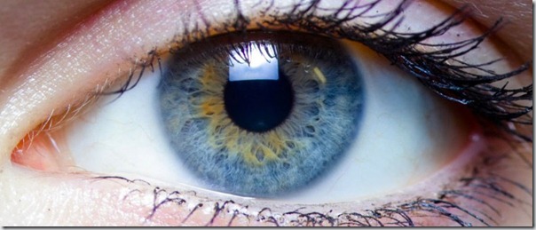 Ojo-800x340
