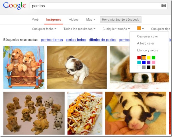 perro3