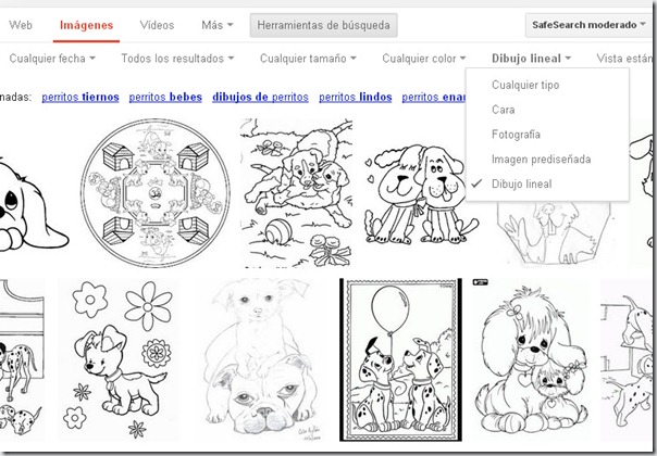 perro4