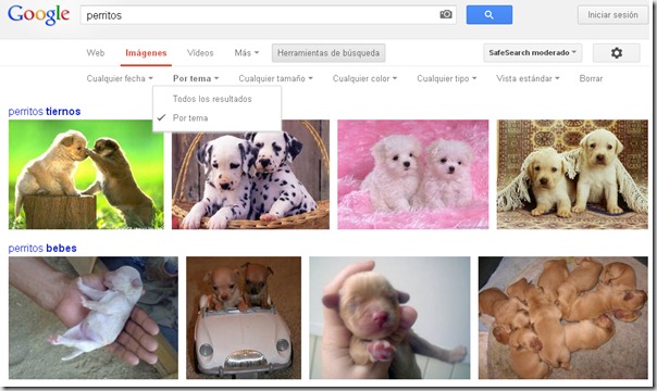 perro5